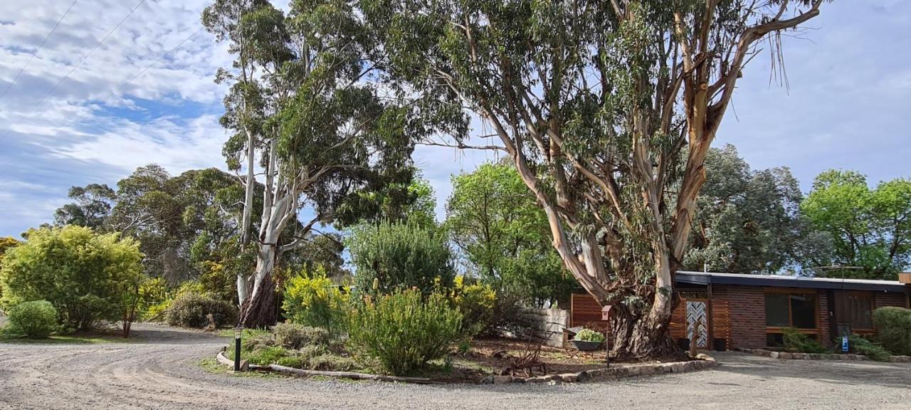 Halls Haven Units 3* Halls Gap